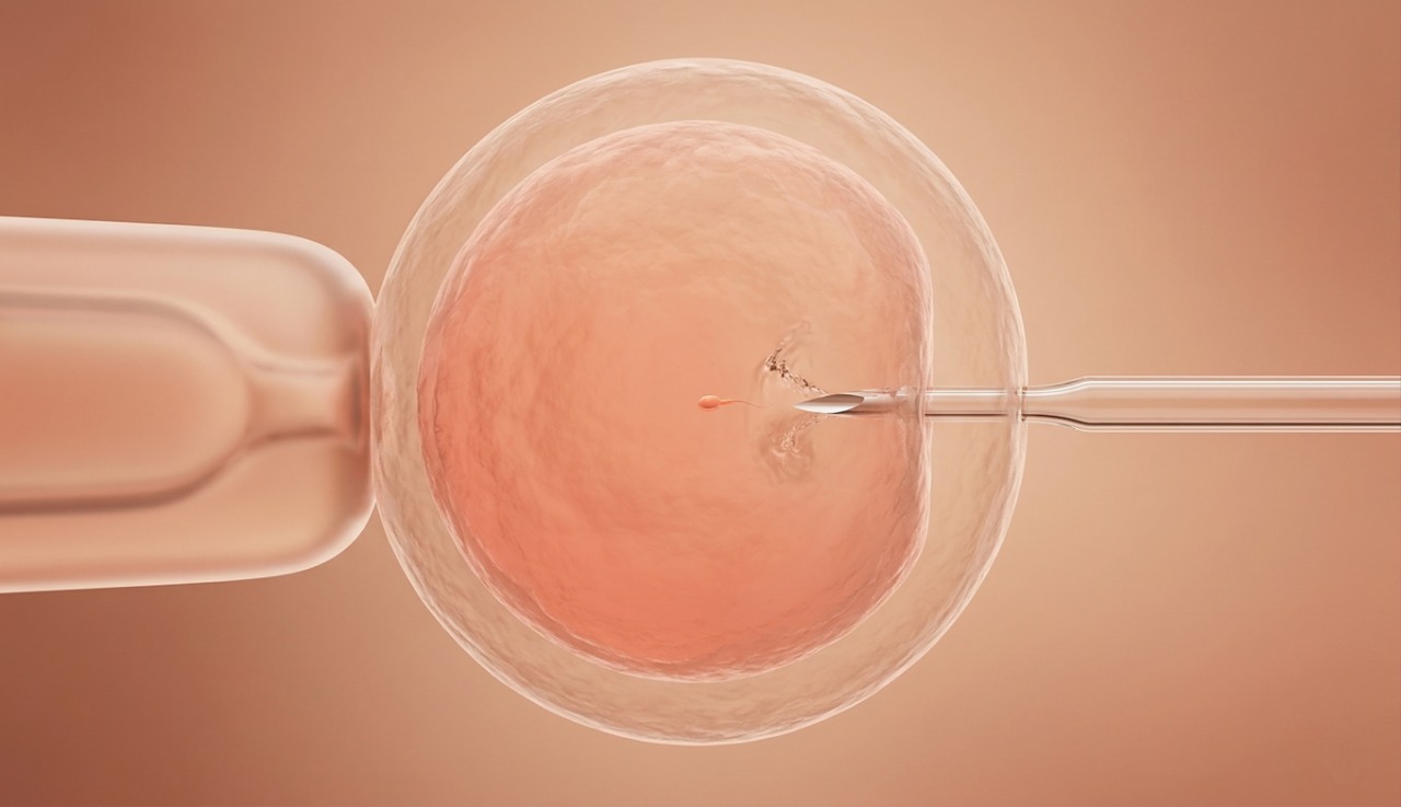 IVF Procedure - Sperm injection into egg cell under microscope